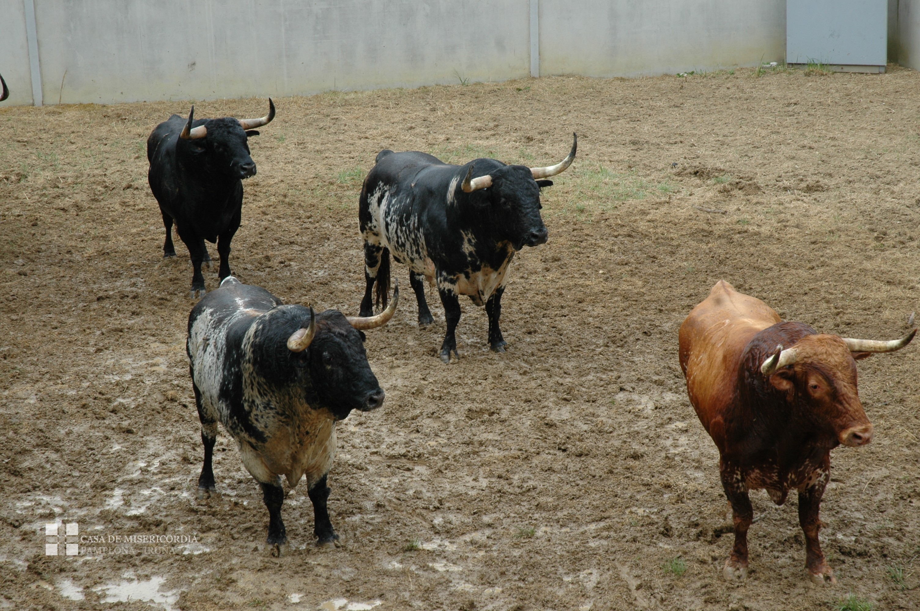 Corrida de toros de Torrestrella, Feria del Toro 2014